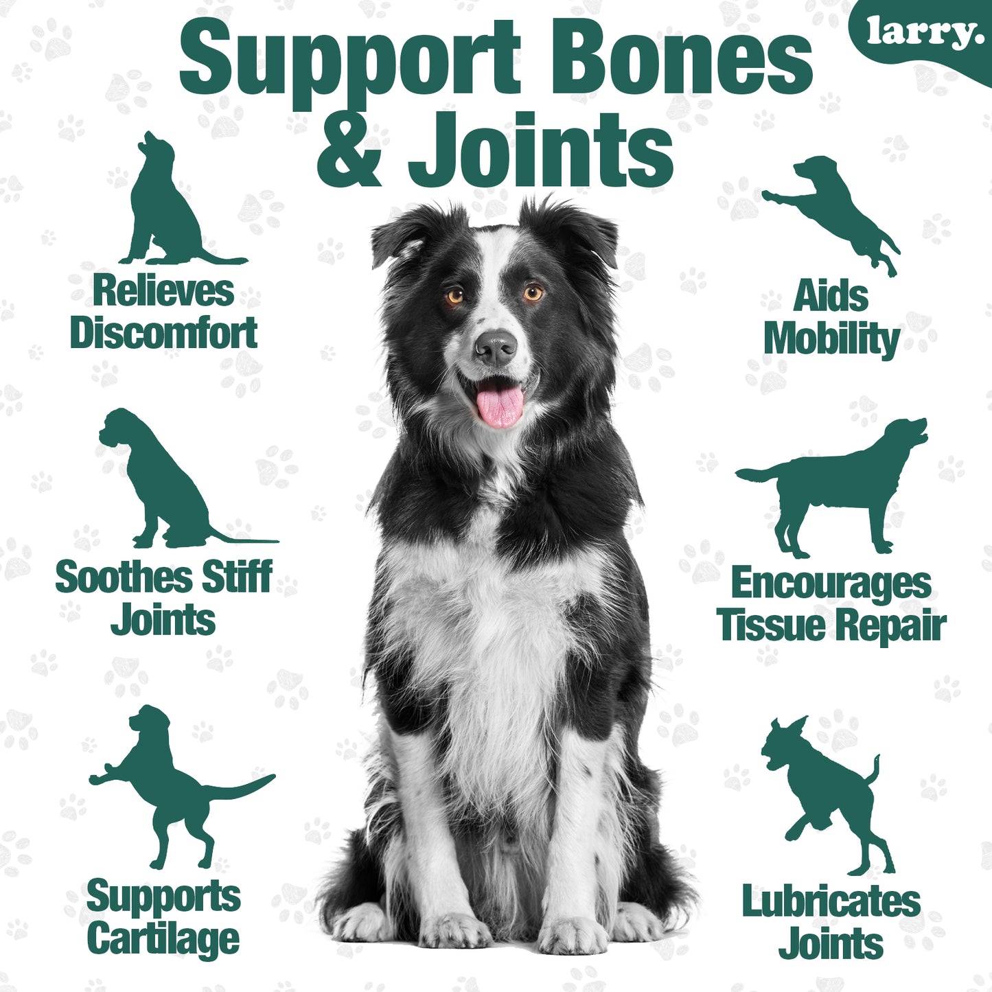 Larry Hip & Joint Support