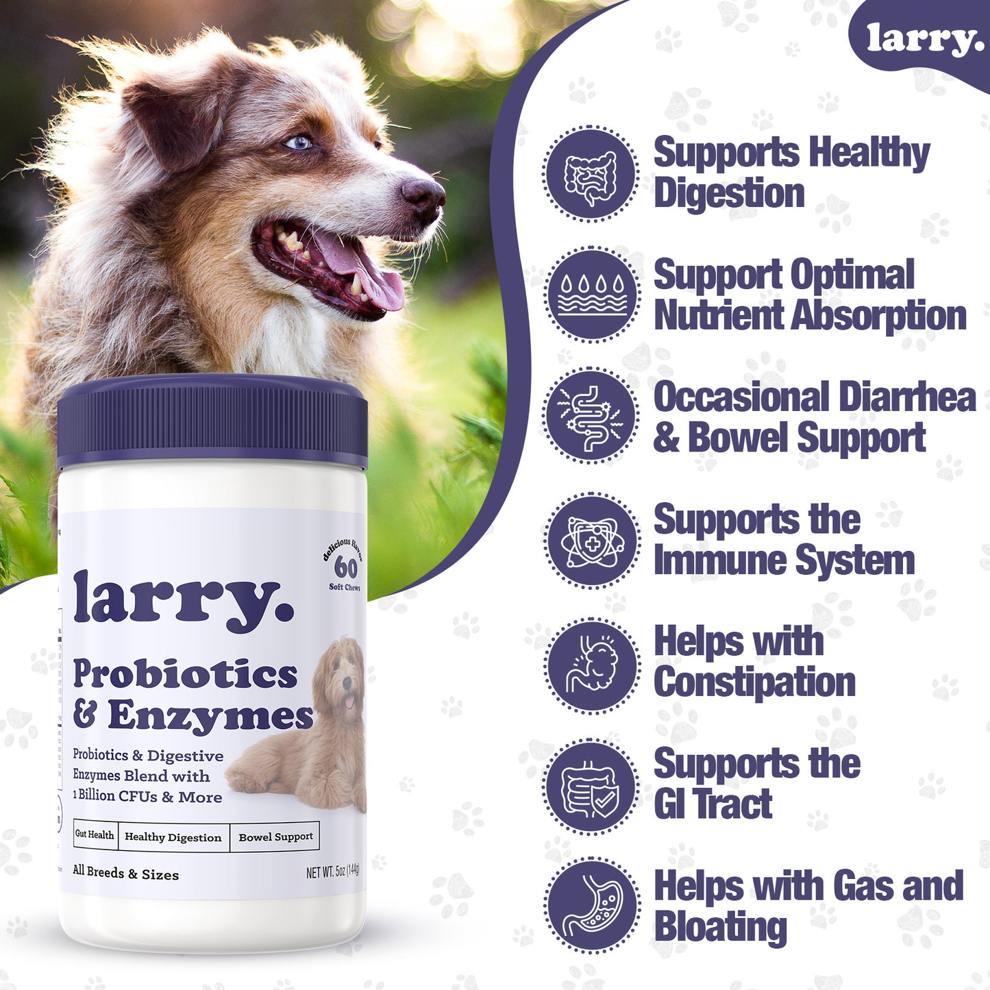 Larry Advanced Probiotics and Digestive Enzyme Chews